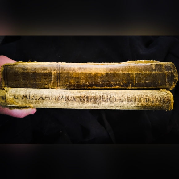 The Alexandra Readers 2 & 4 - Vintage Used Books - Semi-Rare - 1910's Canada - Picture 2 of 5